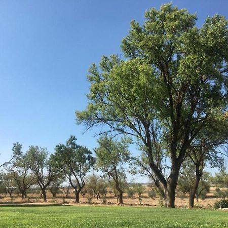 Finca El Relax Colmenar de Oreja Екстер'єр фото
